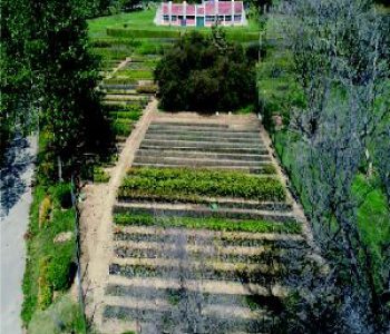 BotonicalGarden_300X269-ogd3tsumq15273mn93p8982opja5jeoa2rqw9c2ji0