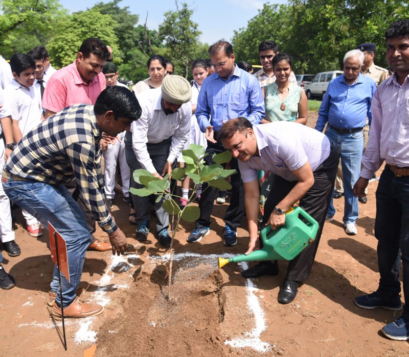  Palash Day