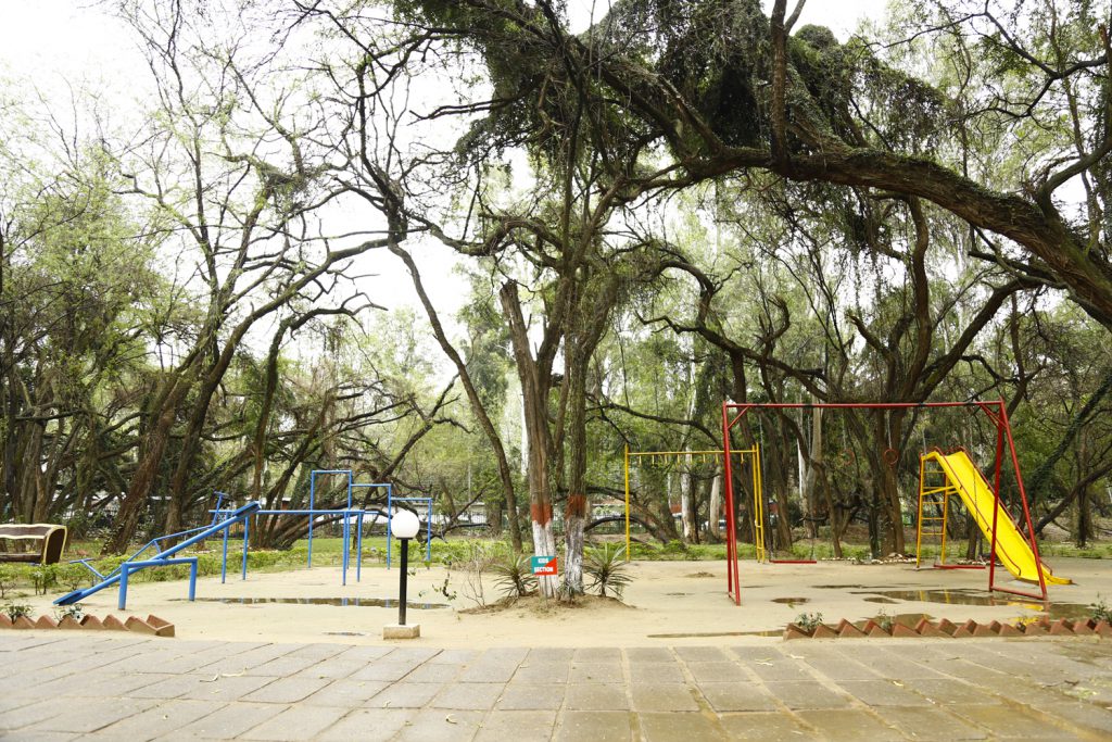 City-Forest-3-1024x683