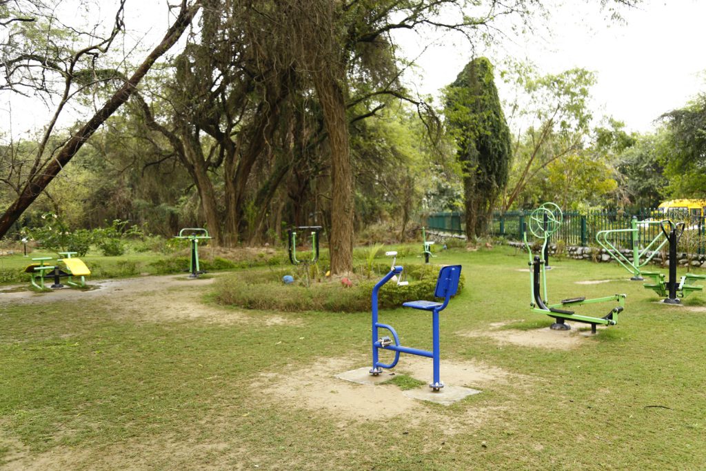 City-Forest-5-1024x683