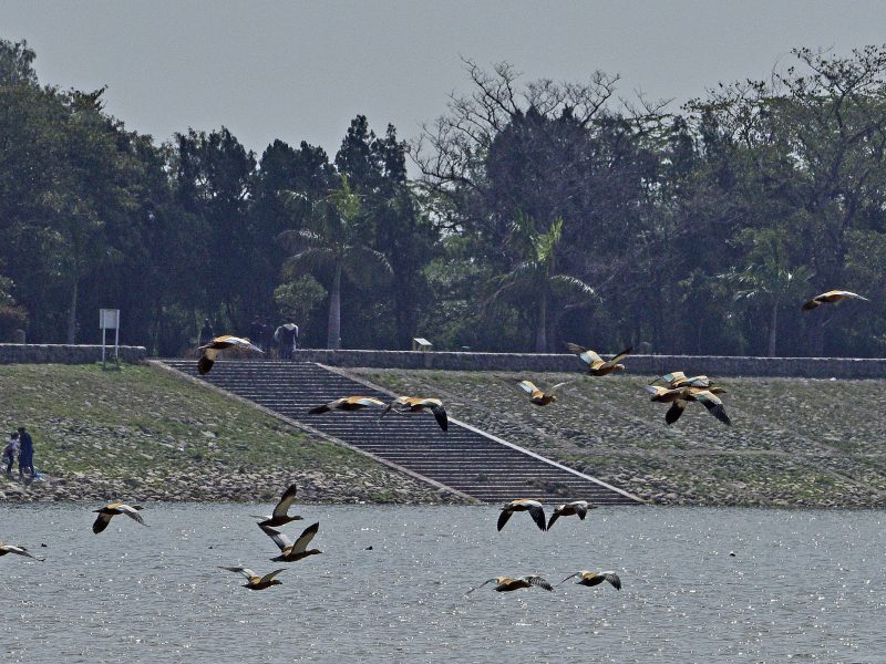  Chandigarh & its environment