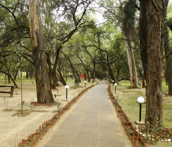 Nagar-Van-City-Forest-ADD-Green-Chandigarh-ogd5q1wqyykl7shmpls0b01liqvmg7mmsl24qmvfp4