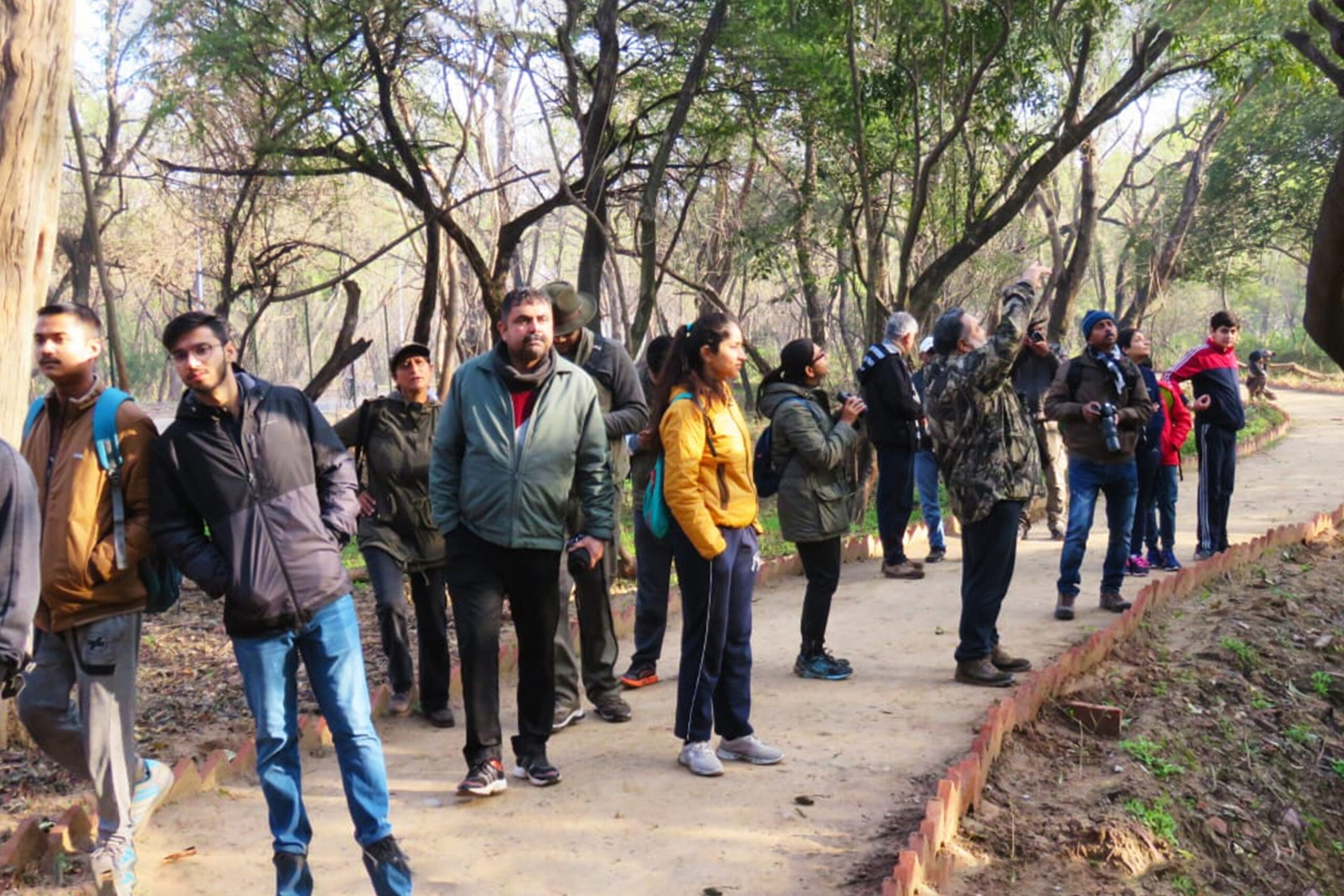 Nature-Bird-Walk