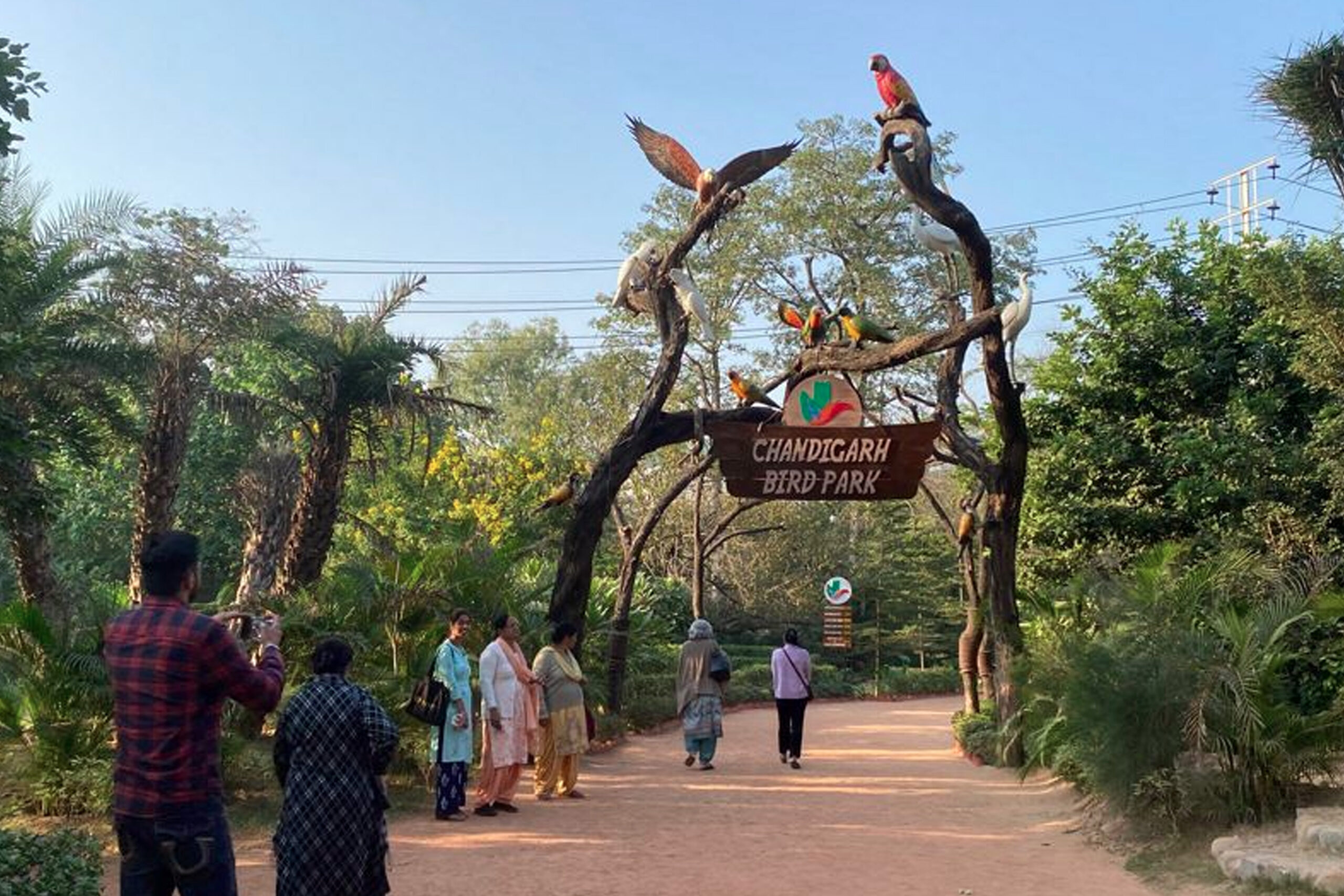 Nature-Bird-Walk2