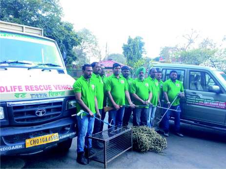  Wildlife Rescue & Rehabilitation