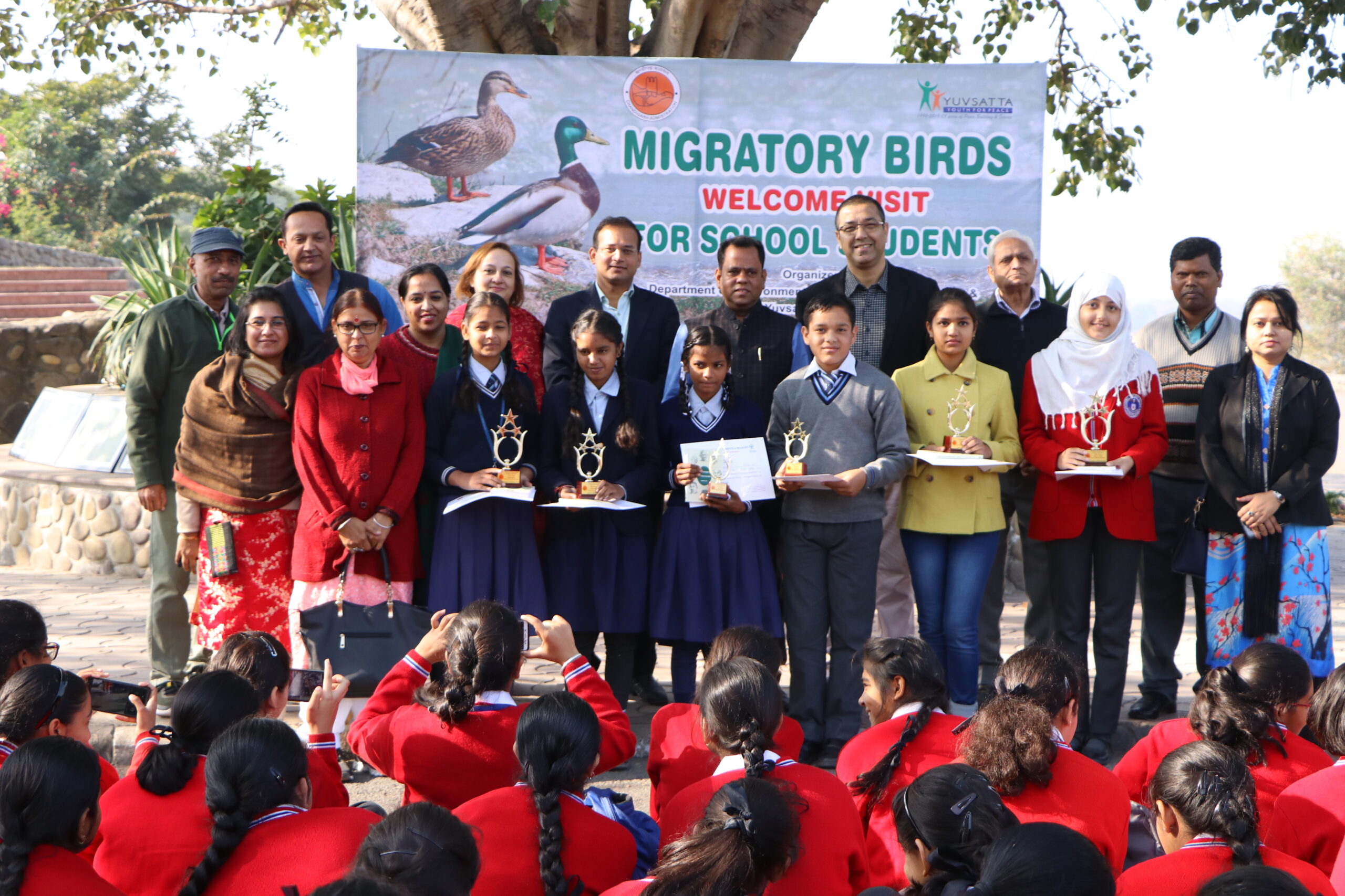 migratory-birds